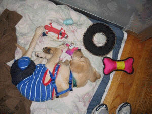 Bella asleep with her toys