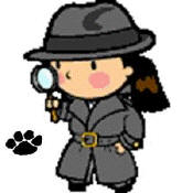 Pet Detective Rescue Fund