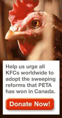 https://ebiz.isiservices.com/peta-e/peta/edonate.asp?section_code=H08R102P&id=20288751&ask4=--25-35-50-100-o