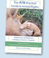 The PETA Practical Guide to Animal Rights