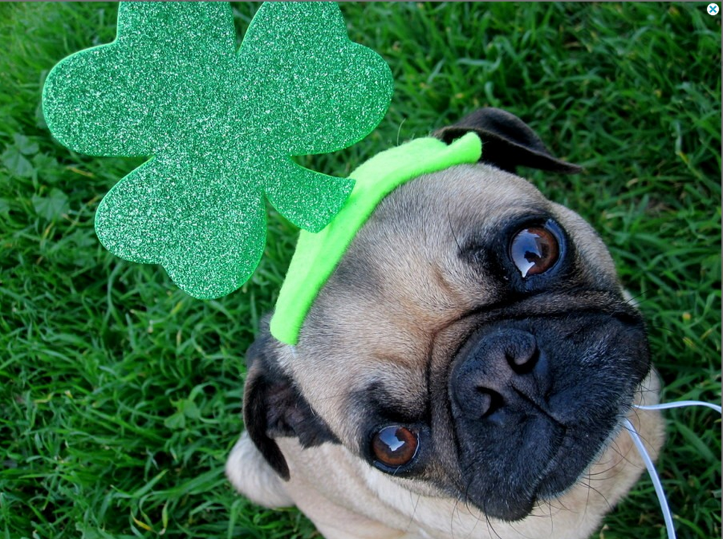 Have a Happy & Safe St. Patrick's Day!