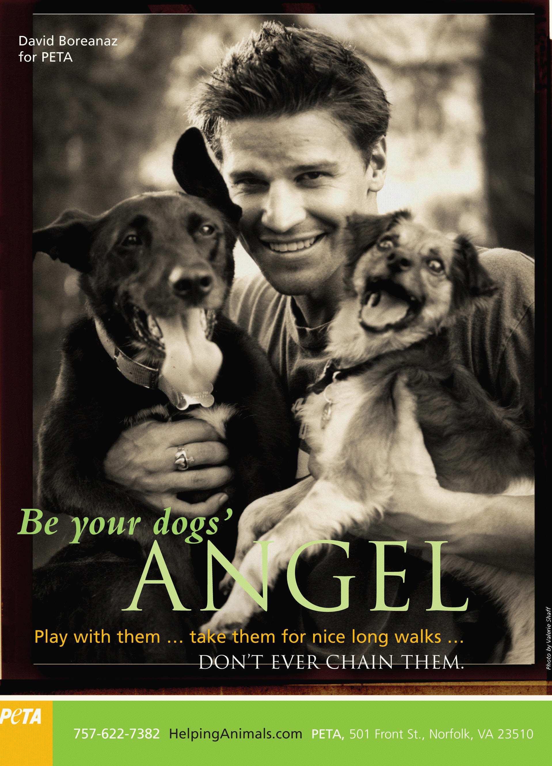 David Boreanaz for PETA