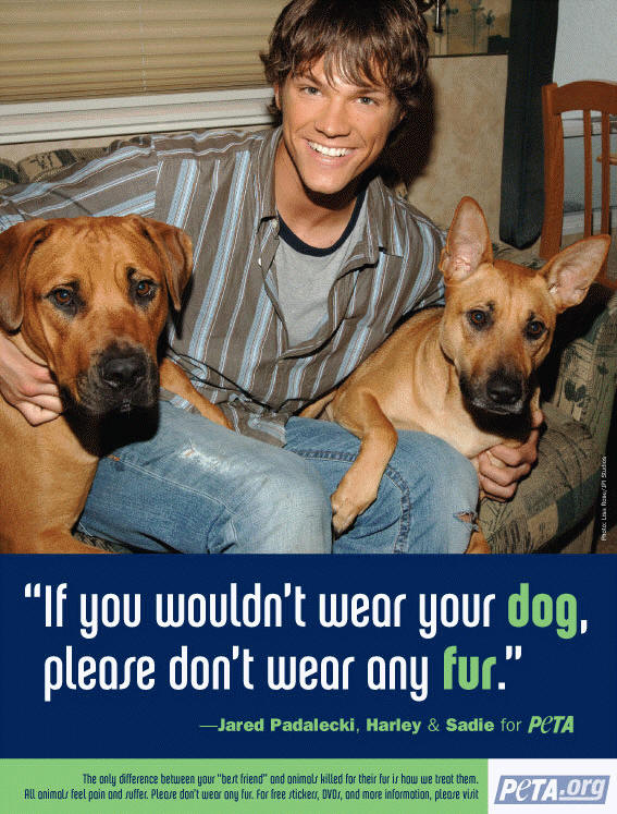 Jared Padalecki for PETA