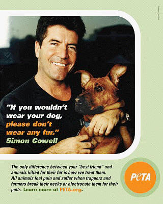 Simon Cowell for PETA
