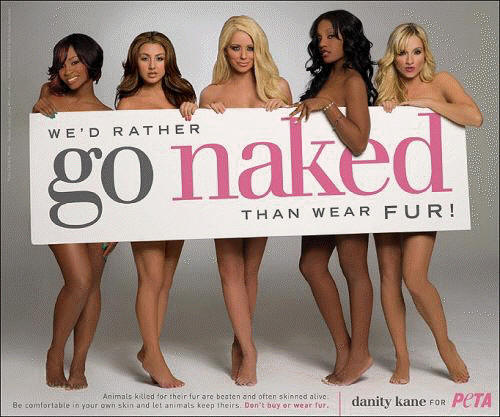 danity kane for PETA