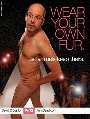 David Cross for PETA